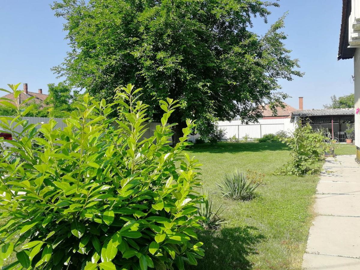 Hotel Zsuzsanna Vendeghaz Gyomaendrőd Exterior foto